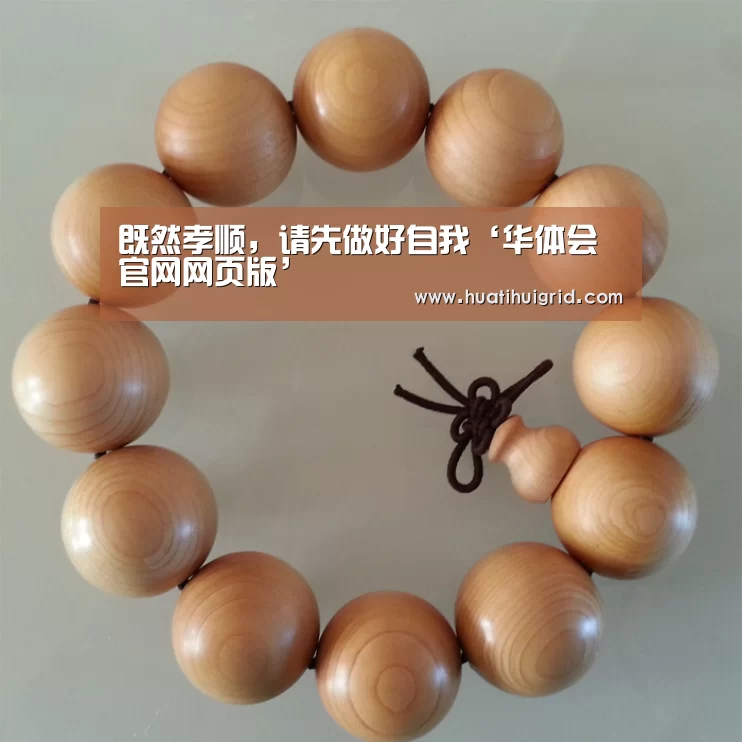 华体会官网网页版